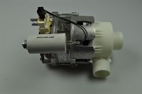 Circulation pump, Asea-Cylinda dishwasher