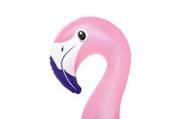 Float, Bestway swimmingpool (flamingo)