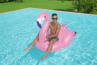 Float, Bestway swimmingpool (flamingo)