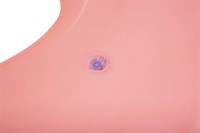 Swim ring, Bestway swimmingpool (Tropical Paradise)